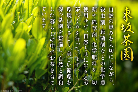 茶 茶葉 緑茶 九州 そのぎ茶 「郷山の茶」 80g×3袋入り [東坂茶園 長崎県 東彼杵町 hs42bag690004]