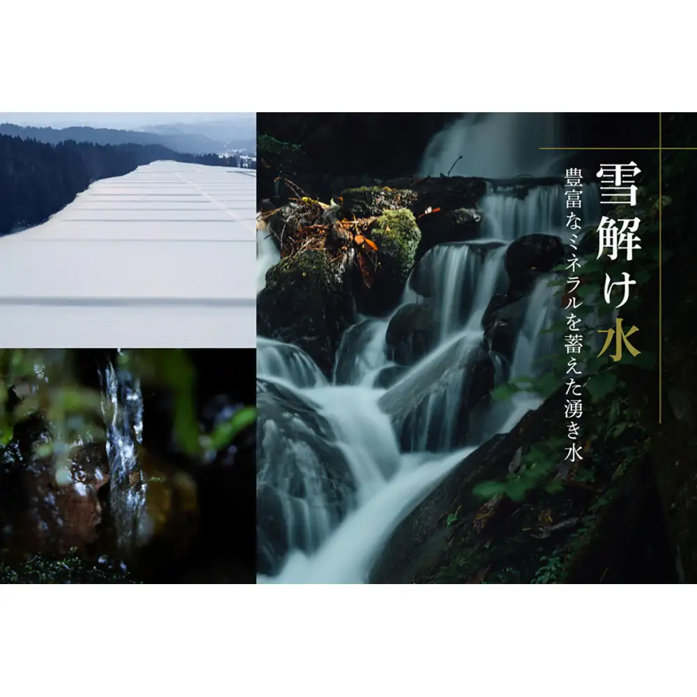 【定期便 3ヶ月】【令和7年産】魚沼産コシヒカリ 雪椿 2kg(2kg×1袋) × 3回 特別栽培米