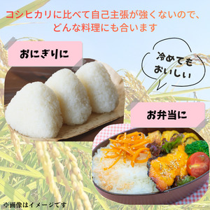 愛媛県産ひのひかり5kg