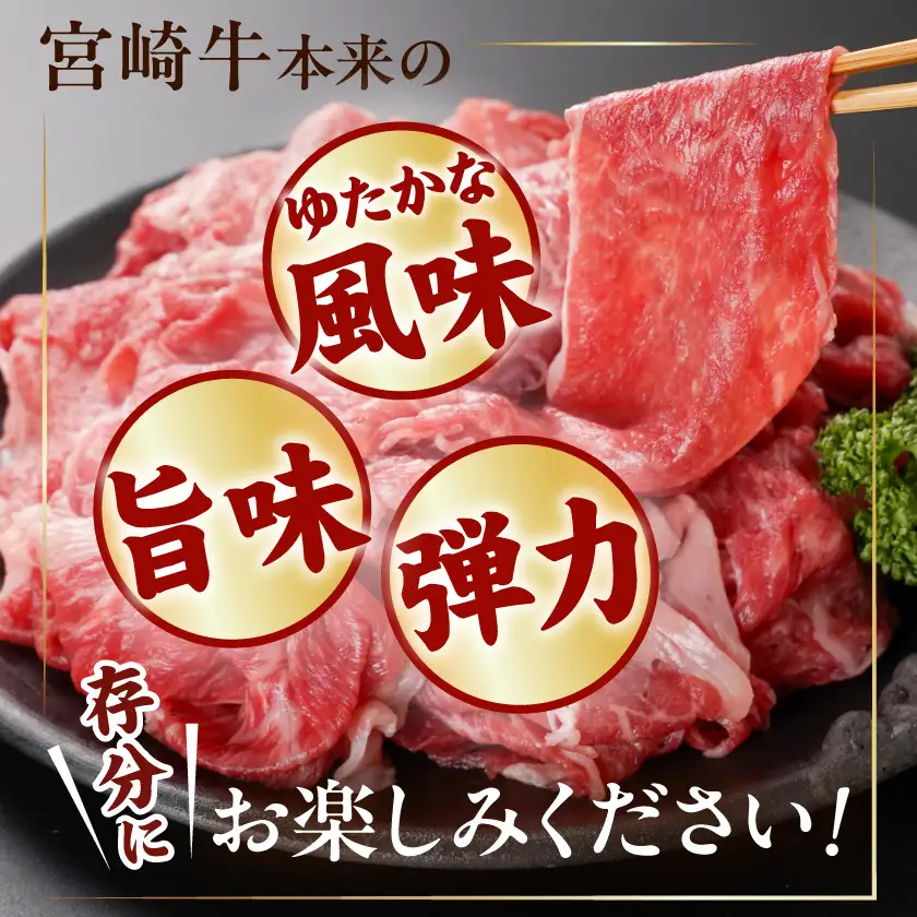 宮崎牛切り落とし1kg(500g×2パック)〔14-N4-004-1kg〕(都城市) 宮崎牛 黒毛和牛 A4～A5等級 切り落とし 炒め物