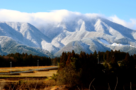 【数量限定】大山の水で育てた関金町産 コシヒカリ 5kg