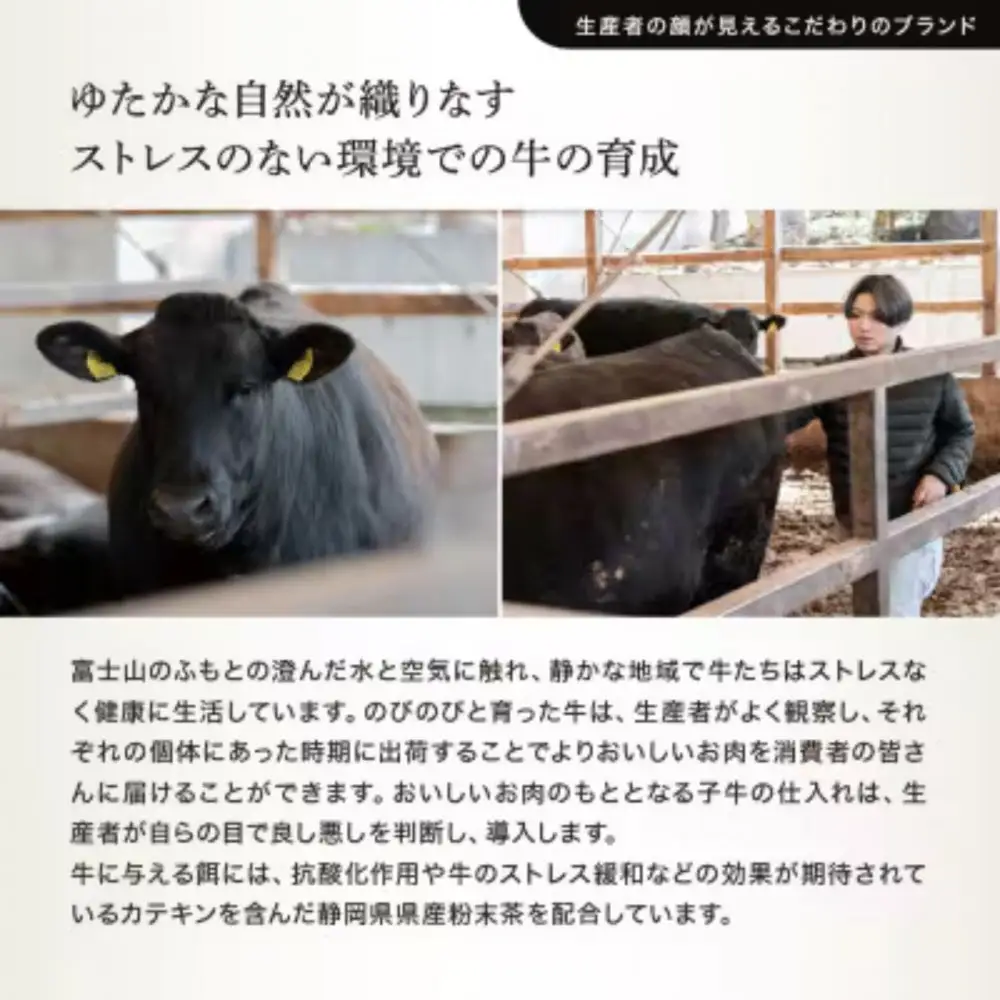 龍馬1865＋WAGYU DIAMOND FUJI モモ(赤身)ステーキ300g・モモ(赤身)焼肉カット300g【配送不可：沖縄県・離島】