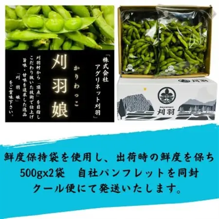 新潟県刈羽村　朝採直送枝豆　刈羽娘1kg(500g×2パック)【配送不可地域：離島・北海道・沖縄県】【1717157】