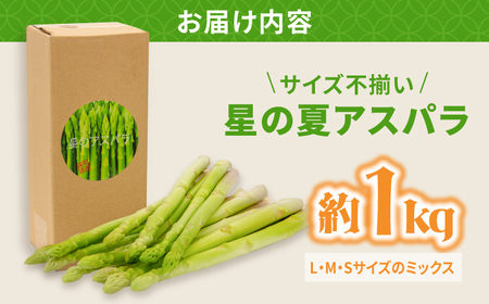 【訳あり】【星のアスパラ】グリーンアスパラガス 約1kg 【サイズ不揃い L～S】 / 訳アリ 規格外 産地直送 アスパラ あすぱら あすぱらがす 採れたて 新鮮 旬 産地直送 / 南島原市 / ほしのYA[SEY021]