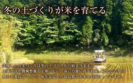 【 人気の2銘柄を食べ比べ！ 】 厳選国産米 2種セット 【 コシヒカリ × なつほのか 】 （ 各5kg 計10kg ）