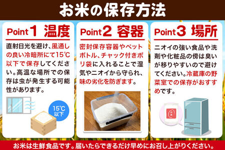 《定期便6ヶ月》 あきたこまち 3kg 令和7年産 【無洗米】秋田県産