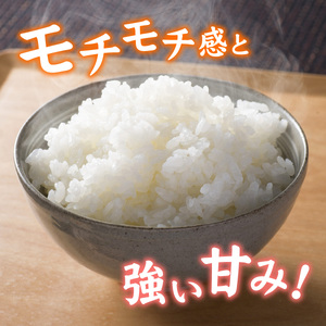 ゆうだい21 【3ヶ月定期】先行予約 令和8年産 新米 減農薬 化学肥料不使用 5kg ×3回 ゆうだい21