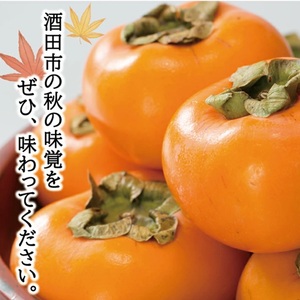 SZ0385　酒田の秋の味覚　あまくて美味しい庄内柿(種なし柿) 秀品　約2kg(15～18玉前後) 