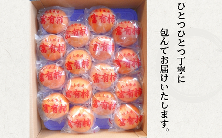 [先行予約]《柿の王様》 加藤果樹園 のフレッシュパック富有柿 Mサイズ16個入り 低温熟成 選べる 12月～ 1月上旬 2月上旬発送予定 [mt2062]｜かき 富有柿 ふゆうがき フルーツ カキ 果物 くだもの 産地直送 岐阜県 本巣市 R8年産