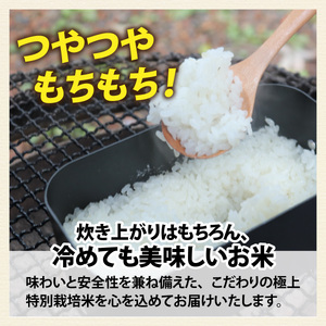 【先行予約】【6ヶ月連続お届け】【 令和8年産 新米】【農家直送】特別栽培米認証3 ミルキークイーン 白米 5kg×1袋×6ヶ月（計30kg） | 米 定期便