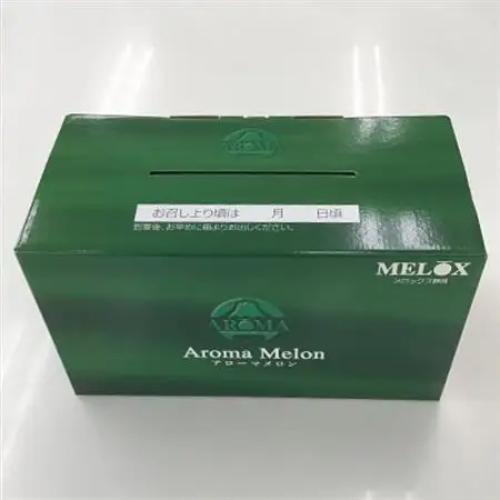 静岡県産　高級アローマメロン　白級約1.4kg× 2玉【配送不可地域：離島・北海道・沖縄県】【1133008】