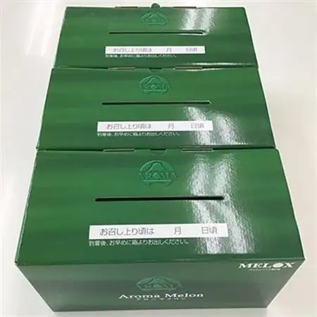 静岡県産　高級アローマメロン　白級　約1.4kg×6玉 2玉×3箱【配送不可地域：離島・北海道・沖縄県】【1133010】
