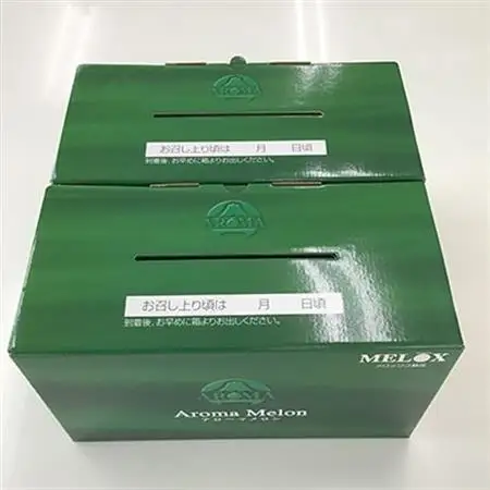 静岡県産　高級アローマメロン　山級約 1.3kg以上×4玉 ( 2玉×2箱 )【配送不可地域：離島・北海道・沖縄県】【1133013】