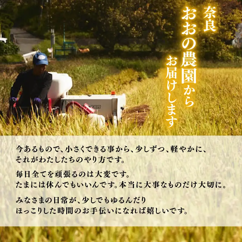 定期便 パックごはん 白米 10個×4回