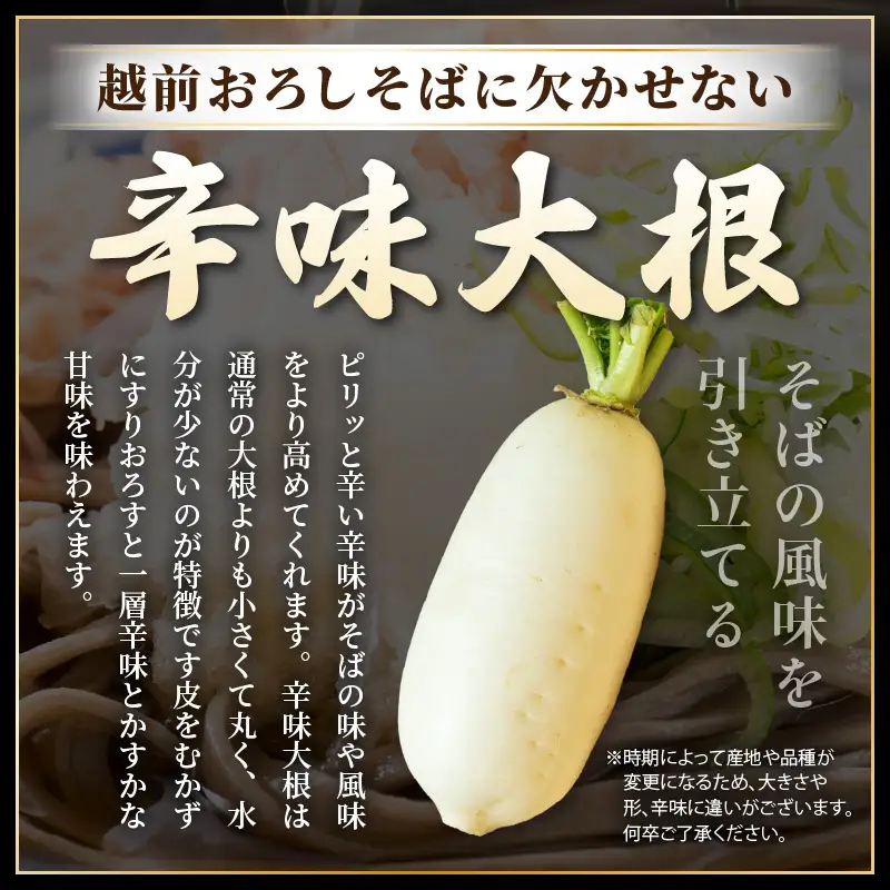 【年越し限定 】 越前おろしそば 生そば10人前（つゆ・ネギ・辛味大根付き） 「めん房新月亭」 冷蔵【蕎麦】 [e21-b001_12] 