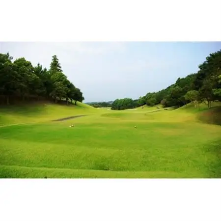 静岡よみうりカントリークラブ ゴルフ・プレー補助券　30,000ポイント分【配送不可地域：離島・沖縄県】【1668241】