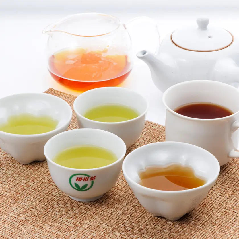 ティーバッグ詰め合わせセット(水出し煎茶・ほうじ茶・和紅茶・掛川茶桃・掛川茶桜)【配送不可地域：離島・沖縄県】【1670610】