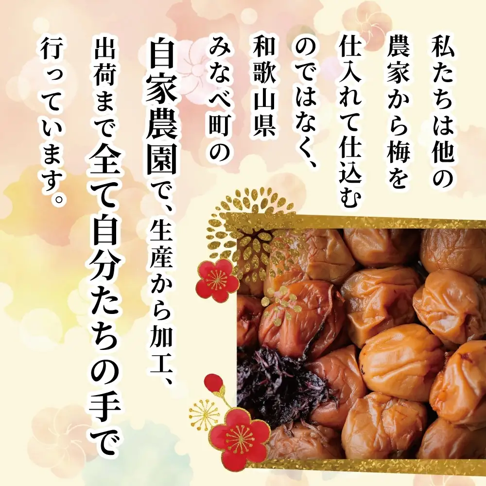 【紫蘇漬け梅】【塩分】約11％ 梅干し ようきづけ 1kg×2個【afg002】