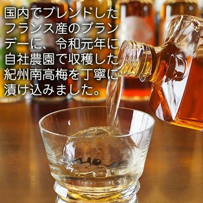 【ブランデー梅酒】ブランデー梅酒 庄屋善八 720ml【azmn009A】