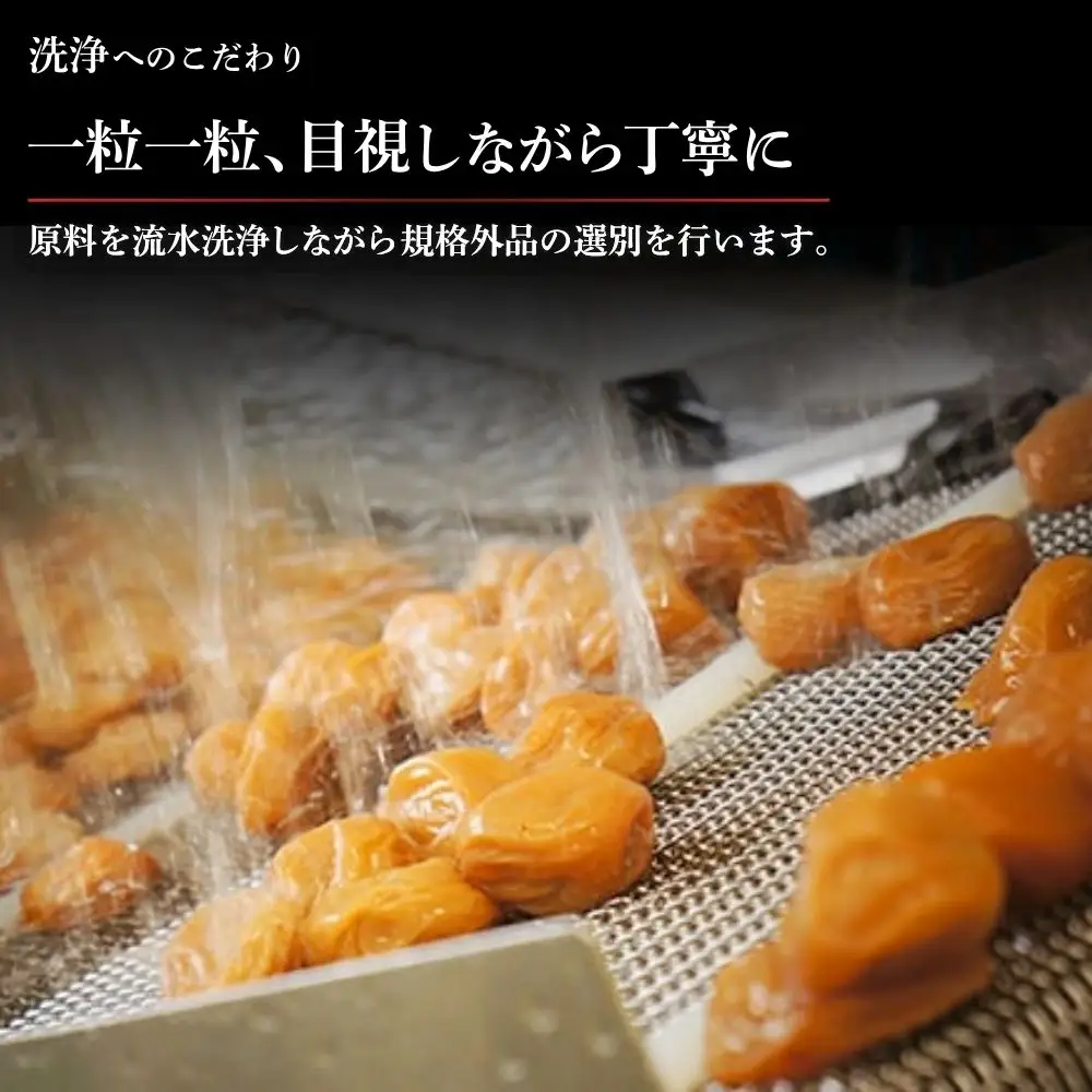 勝僖梅 紀州南高梅 2種セット 350g×2｜はちみつ仕立て・甘仕立て【shokibai007】