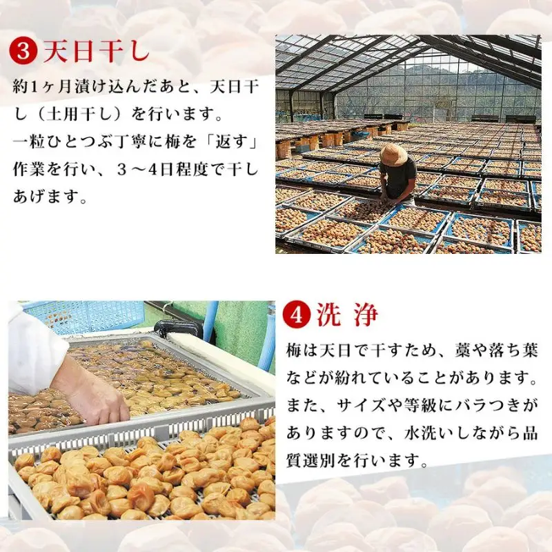 紀州南高梅 大トロつぶれ梅 300g×3個／塩分8％【mryms002】