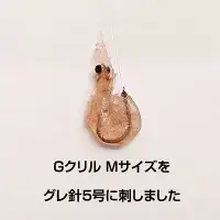 釣りエサ　GクリルWパック　Mサイズ　約100g（約50g×2パック）×6個　hmi012【hmi012】