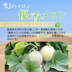 312.【先行予約】幻の「優香メロン」希少・大玉1.8kg前後1玉　※2026年6月下旬頃より順次発送予定