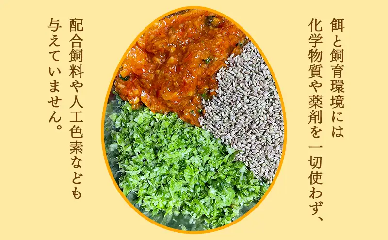 卵 "有無ファーム"のこだわり平飼い卵 10個パック(有精・無精卵各5個)Mサイズ以上 鶏卵 たまご 平飼い