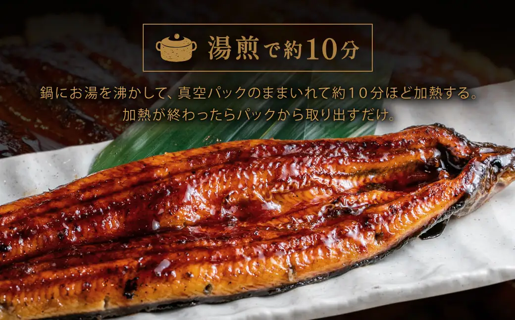 ZI369.うなぎ蒲焼き1尾セット（約250g×1尾）