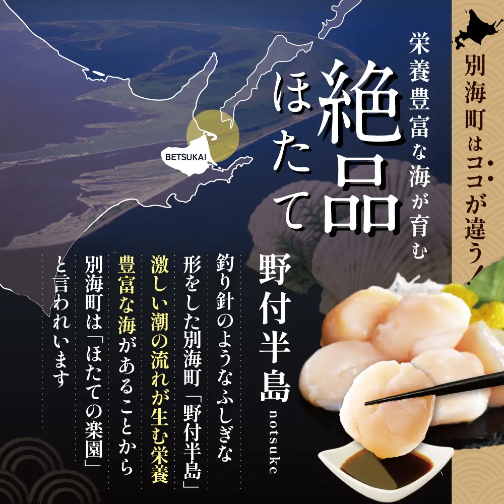 北海道野付産 特大ほたて 500ｇ 個包装（8〜10⽟前後）（LLサイズ）KN0000026