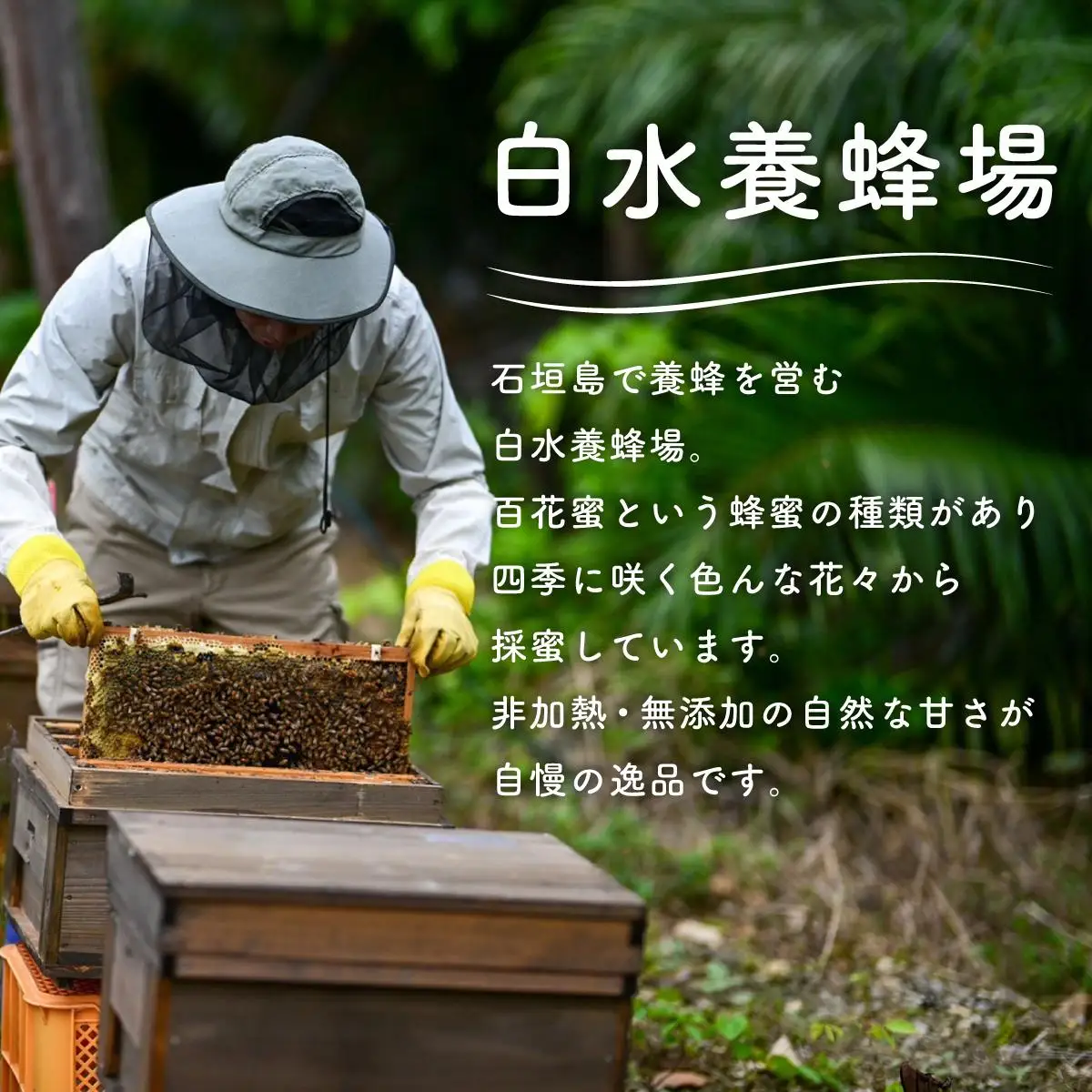 石垣島産 生はちみつ 200g 
