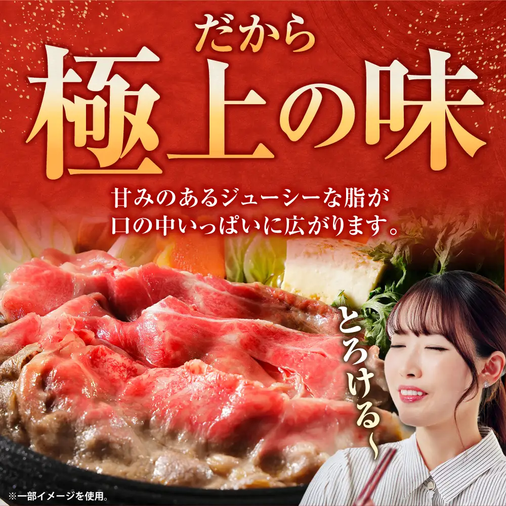 厳選佐賀牛ヒレステーキ 計200g（約100g×2） / 希少部位 黒毛和牛 ヒレ フィレ 肉 / 佐賀県 / 有限会社片岡精肉店[41AEAC021]
