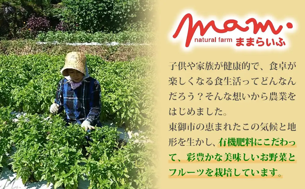 くるみのジェノベーゼ（2個）とトマトソース（1個）【ナチュラルファームままらいふ】