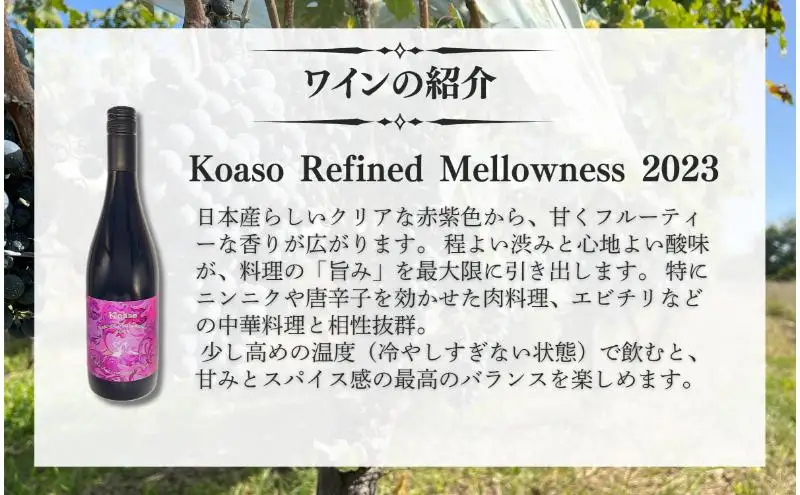 Koaso Refined Mellowness 2023 ワイン 日本ワイン 赤ワイン 赤 上田市
