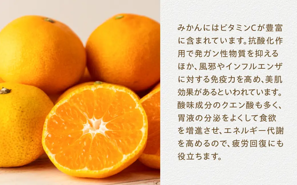 JA愛知みなみ 夏のフルーツ定期便 3回 お届け タカミメロン アールスメロン 温室みかん メロン ミカン 蜜柑 みかん 定期便 旬 夏 フルーツ 果物 くだもの 甘い スイーツ おやつ 渥美半島 田原市 愛知県 3ヶ月 3か月 三カ月 定期 青肉 フルーツ定期便