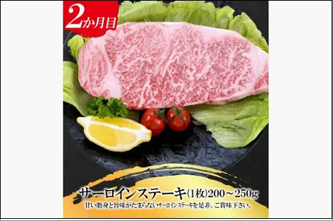 福岡県産 黒毛和牛A4ランク以上の博多和牛！ 3か月定期便 Bコース
