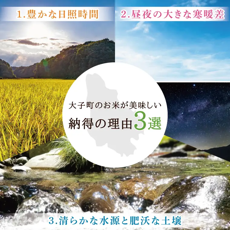 令和7年産　常陸農協の大子町産コシヒカリ5kg×2袋 計10kg｜茨城県 大子町 お米 白米 精米 こしひかり ふっくら もっちり コンテスト受賞（AH015）