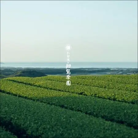 知覧覧茶園のオリジナルペットボトル24本入【1720582】