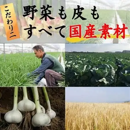 国産素材にこだわった鹿児島黒豚餃子120個【配送不可地域：離島】【1722553】