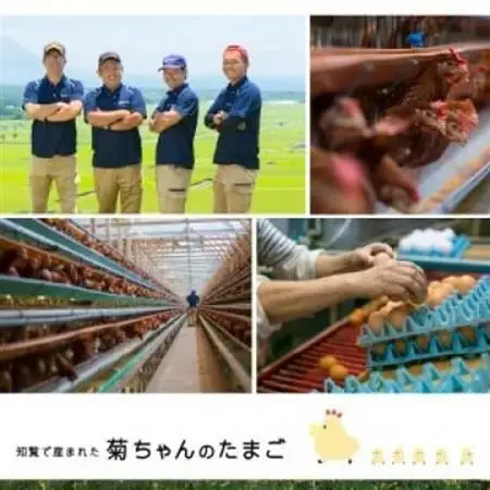 【発送月固定定期便】菊ちゃんのたまご(特級卵)(1・2・3月コース)全3回【4084782】