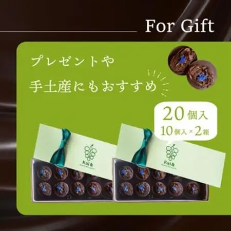 山梨県産シャインマスカット使用 大粒レーズンのチョコレート マンディアン 10個入り×2箱【配送不可地域：離島】【1719164】