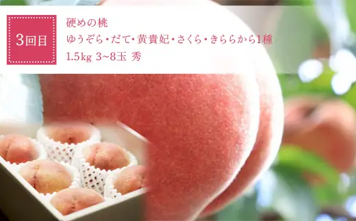 【定期便4回】 桃だらけ便 FSY-2729
