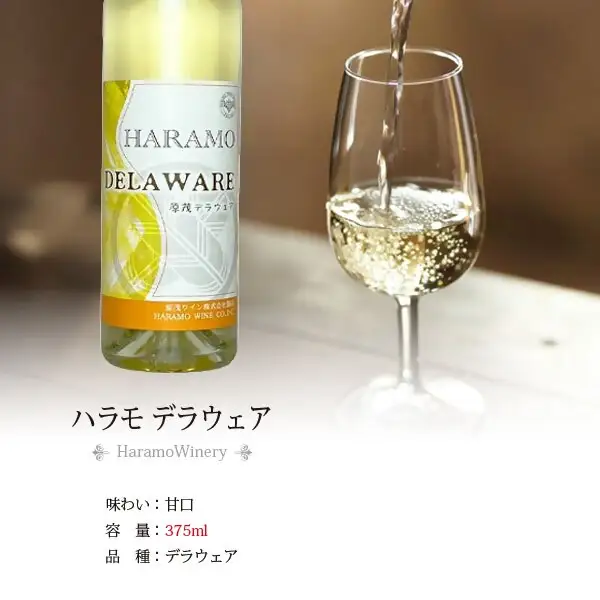 ワイン 飲みきりハーフボトル 白ワイン 5本セット（CKH）B17-770