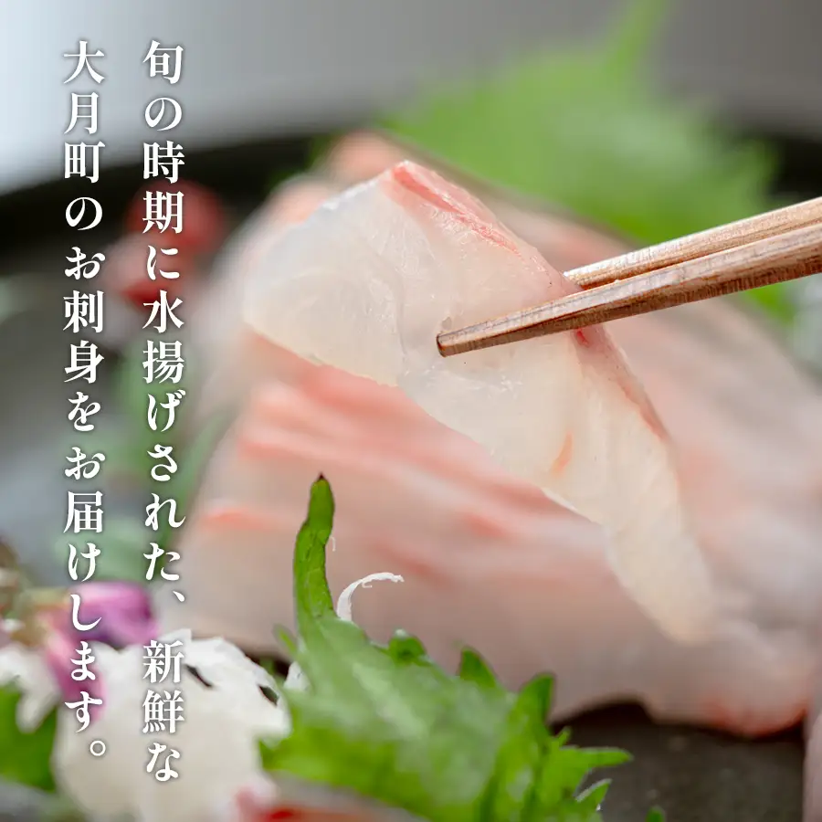 旬のお刺身用 柵セット 4～6種 高知県産 刺身 盛り合わせ 食べ比べ 刺身セット 鮮度抜群 産地直送 海の幸 海鮮 魚介 新鮮 おつまみ 酒 海鮮丼 寿司 厳選 ギフト おすすめ 人気 刺し身 さしみ お中元 お歳暮 カルパッチョ お取り寄せ