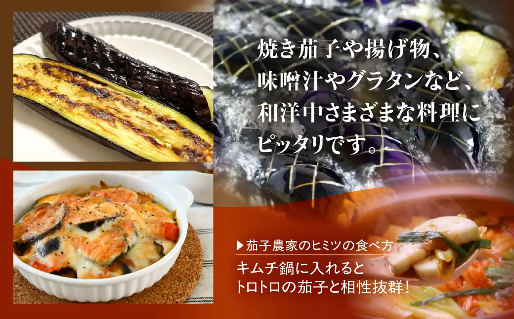 《先行予約》大玉なす とげなし輝楽 2kg 茄子 なす ナス 旨い 甘い 艶 ツヤ ハリ 揚げ物 揚げ茄子 焼茄子 麻婆茄子 輝楽 愛知県 豊橋市