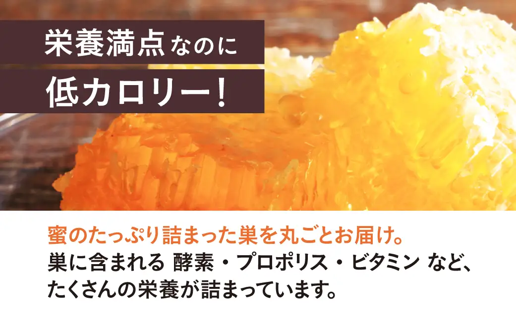 はちみつたっぷり巣蜜≪200g≫ 蜂蜜 はちみつ 国産 非加熱 純度100% 巣蜜 盛り上げ巣 常温 はちみつ ハチミツ 蜂蜜 ハニー 蜜切れ セット ハチミツセット 贈答 プレゼント 贈り物 貴重 希少 おススメ 高級 送料無料 愛知県 豊橋市
