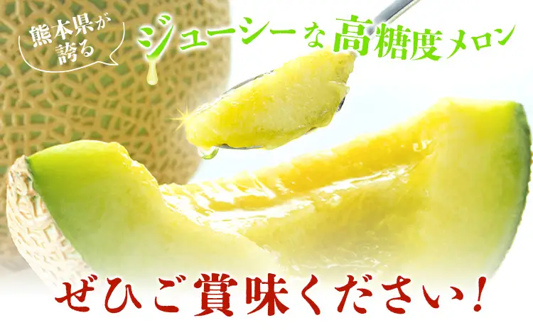 【先行予約】肥後グリーンメロン 1玉 約1.5kg 日本フルーツ株式会社《5月上旬-7月下旬頃出荷》熊本県 菊池市 メロン 熊本県産