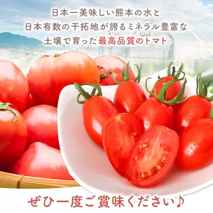 ミニトマト 生産量 日本一 玉名市 !！ 「 トマ・ランタン 」 約 600g |  ミニトマト トマト 熊本県 玉名市