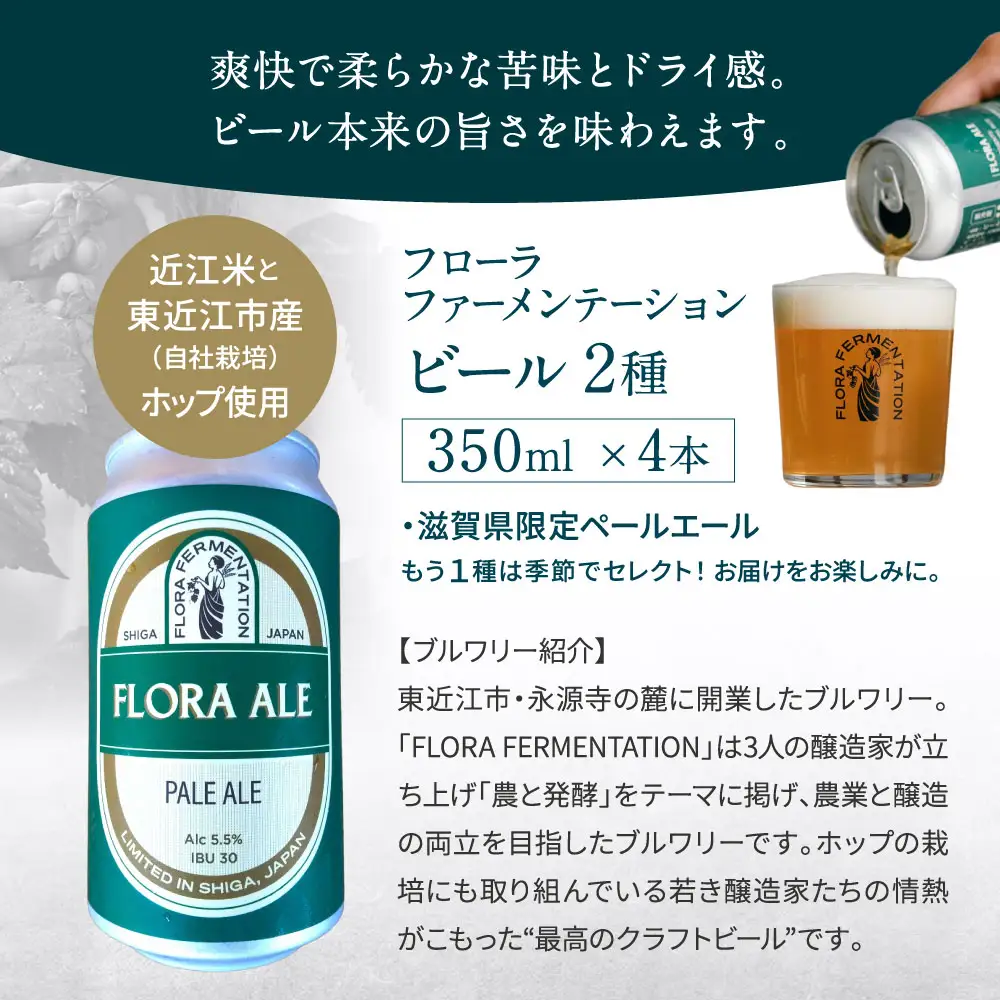 東近江の地酒・地ビール詰め合わせ こいずみ酒店 滋賀県 東近江市 B40 日本酒 地ビール クラフトビール 飲み比べ セット 詰め合わせ 喜楽長 大治郎