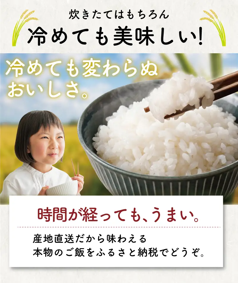 こしひかり 5kg コシヒカリ 8000円 令和7年産 [IWS004]